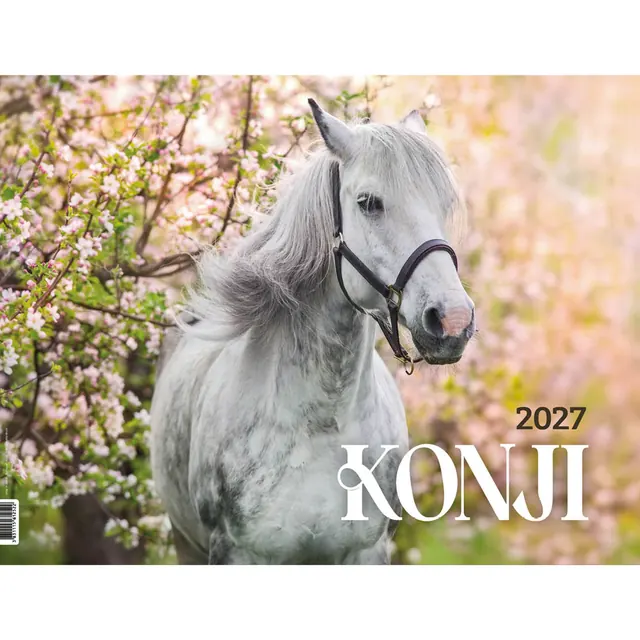 Konji — Stenski slikovni