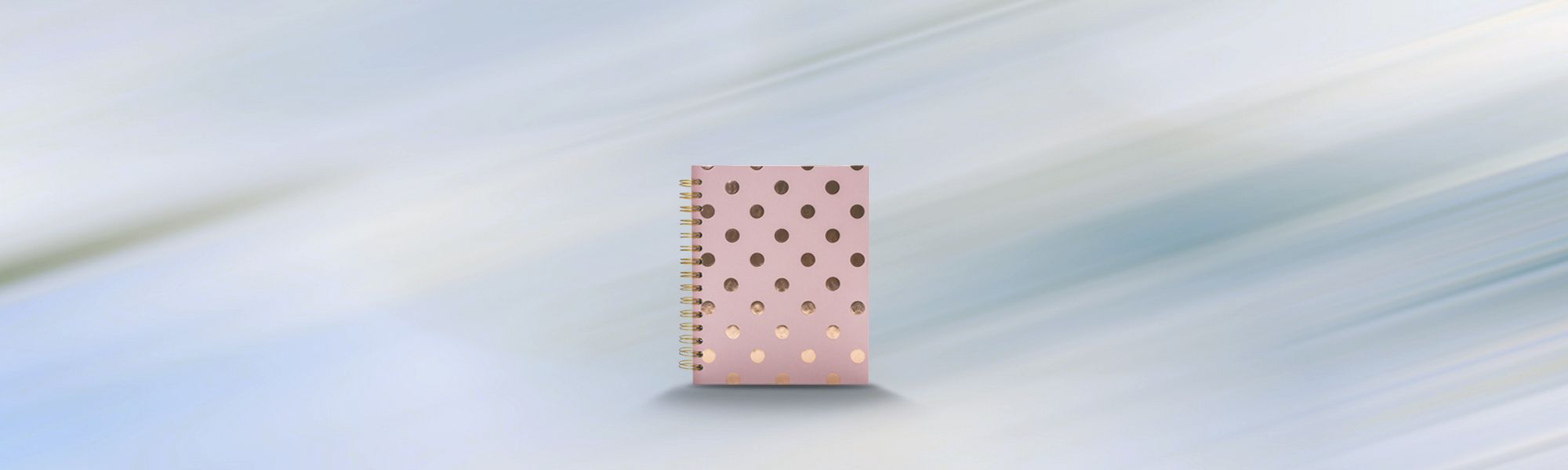 poslovnik_slider_D