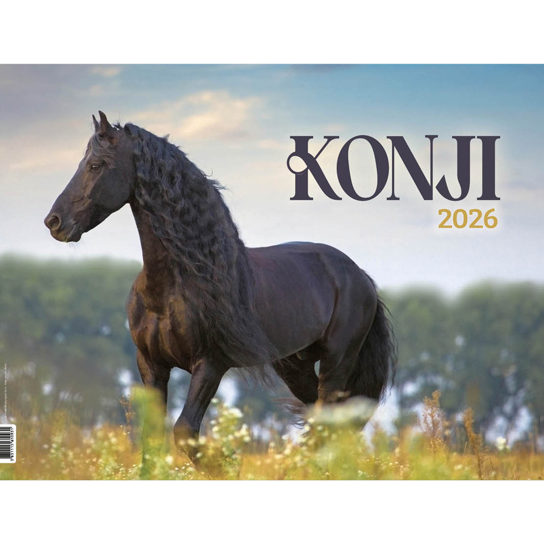 konji_1