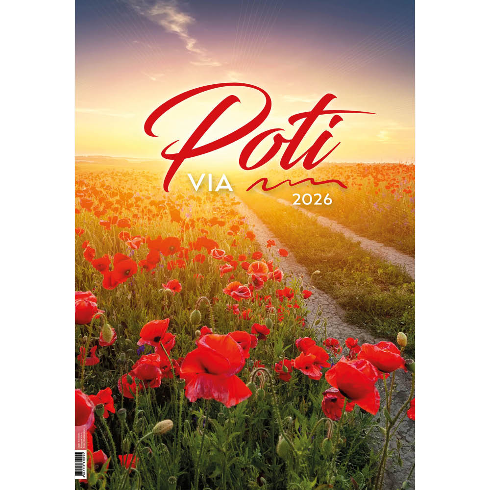 poti_1